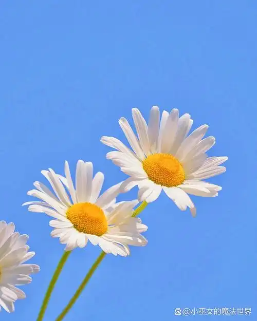 在一切变好之前,我们总要经历一些不开心的日子,这段日子也许很长