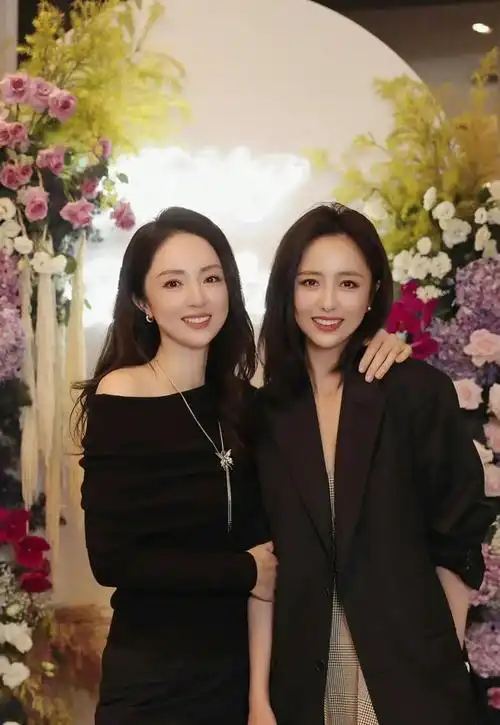 佟丽娅董璇如果可以男人更想选谁做伴侣