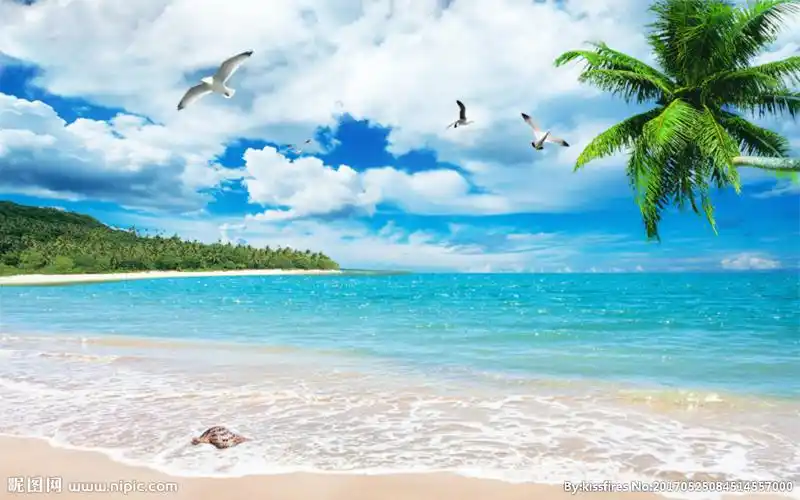 蓝天白云大海沙滩椰树海鸥海景图片
