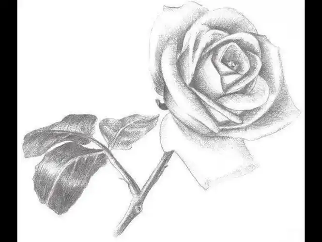 活动作品有手就行素描入门基础画步骤