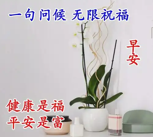 原创大家早上好问候语图片表情专辑早晨最经典的早安祝福语带图片