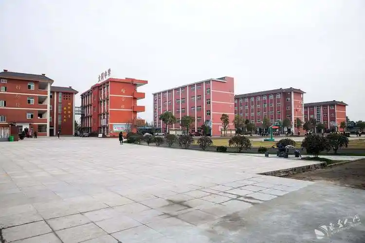 你还记得那年做的广播体操吗849位学子带你舞动青春