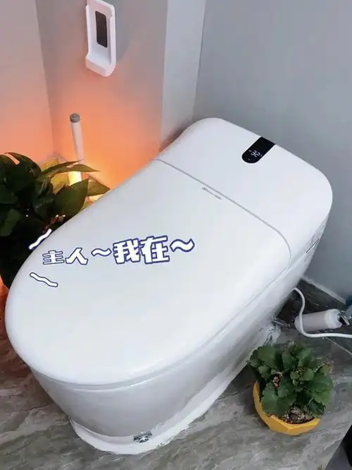 有一款太懂你的智能马桶是种什么体验