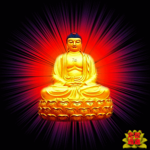 我问佛:如何让人们的心不再感到孤单?