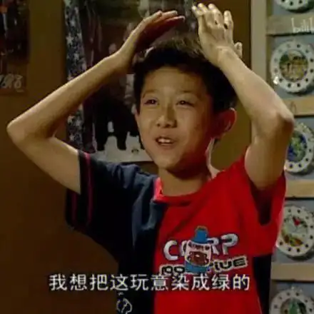 刘星应该是除了学习其他啥都好的典范了吧