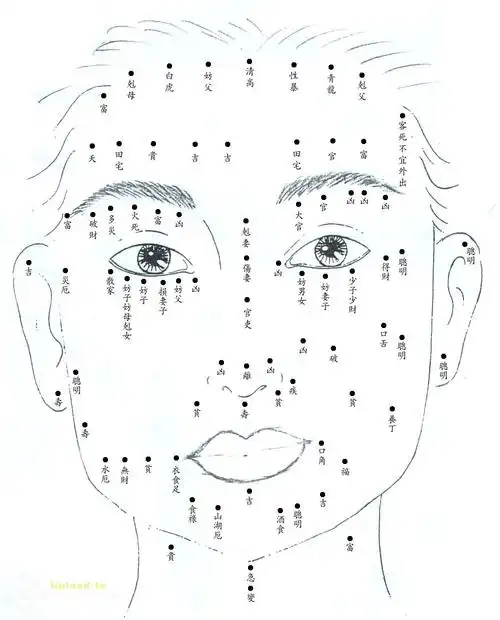 我有一颗发财痣娃哈哈哈