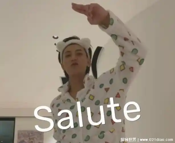 网络用语salute是什么梗怎么用,可以找别人借300块