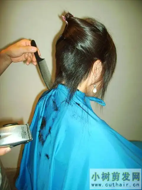 川师妹妹剪bob(12)(小树201#)