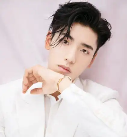 侧颜男神王子异疑似整容粉丝大骂工作室