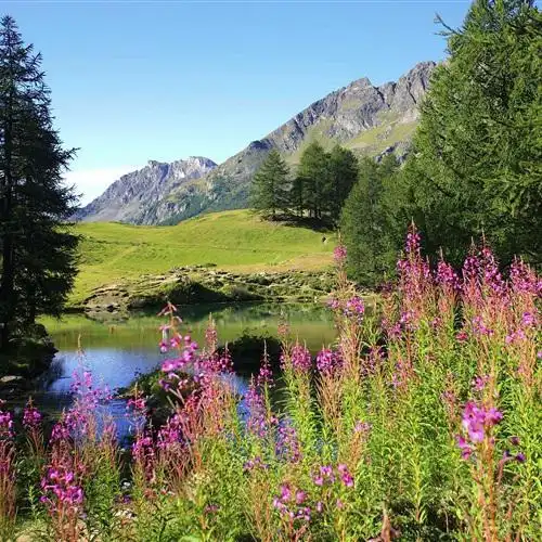 好看的风景头像景色景点不同太美了