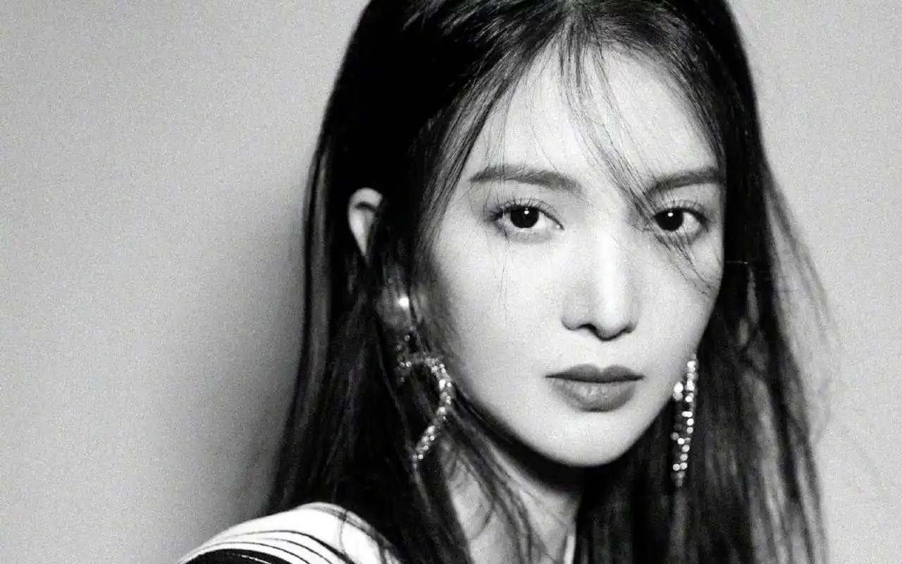 金晨魅力写真图片桌面壁纸