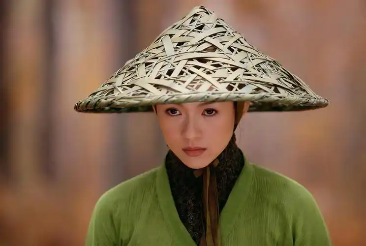 十面埋伏官方剧照剧照图片