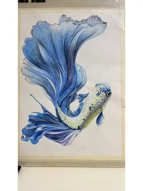 绘画  #美术生的日常  #彩铅手绘  #鱼  #锦鲤  #装饰画