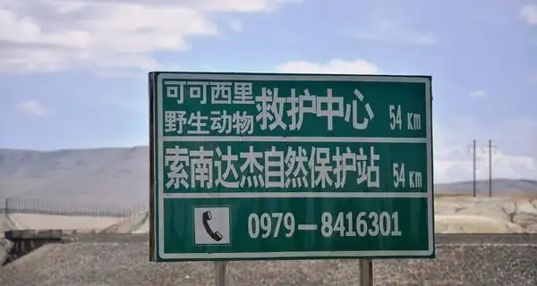 在苍凉壮阔的无人区请记住可可西里的网红脸