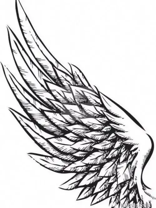 纹身翅膀_小红书