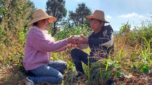 农村老公下地干活,老婆给老公送好吃的,再苦再累也值得!