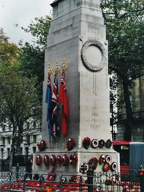 英国文化11月11日theremembranceday