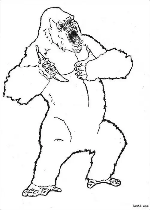 儿童简笔画金刚