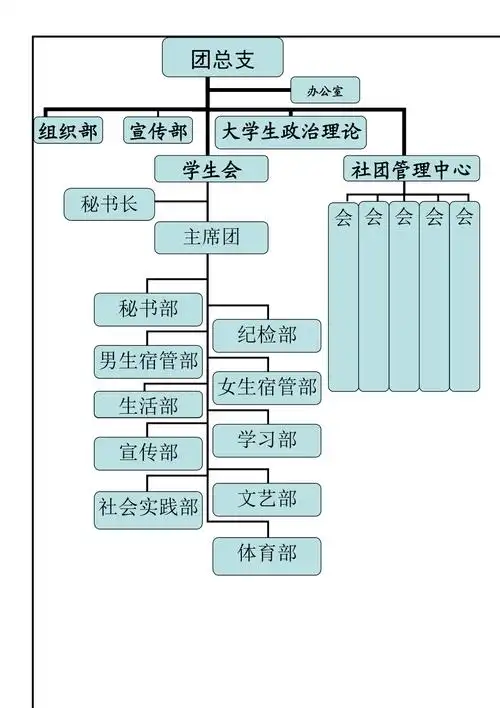 团总支组织结构图1页