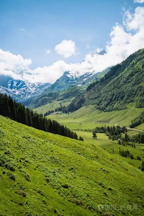 高山风景与美丽的绿色草甸和山峰在夏天阿尔卑斯奥地利