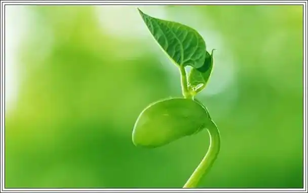 18个不同主题的高级感作文结尾 中考模拟作文练习