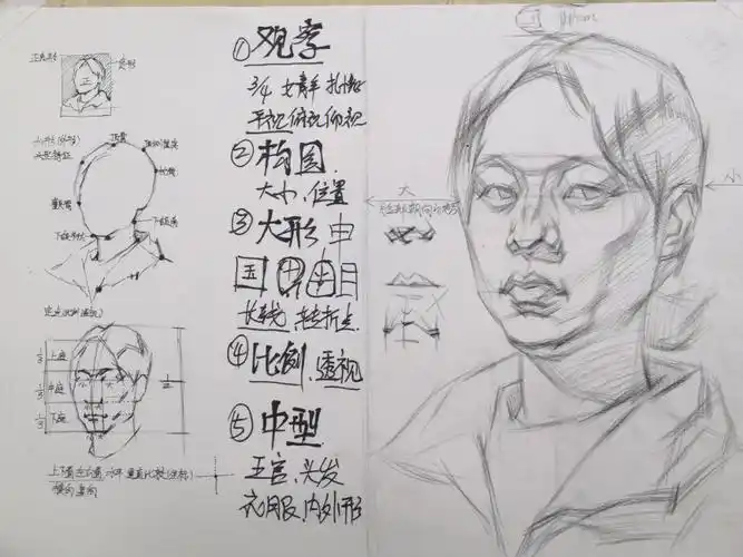 初学素描头像前两个步骤大形和中型