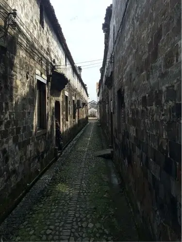 10.3--5日十一武义行