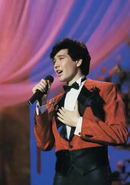 费翔|林子祥|林青霞|张曼玉|梅艳芳_网易订阅