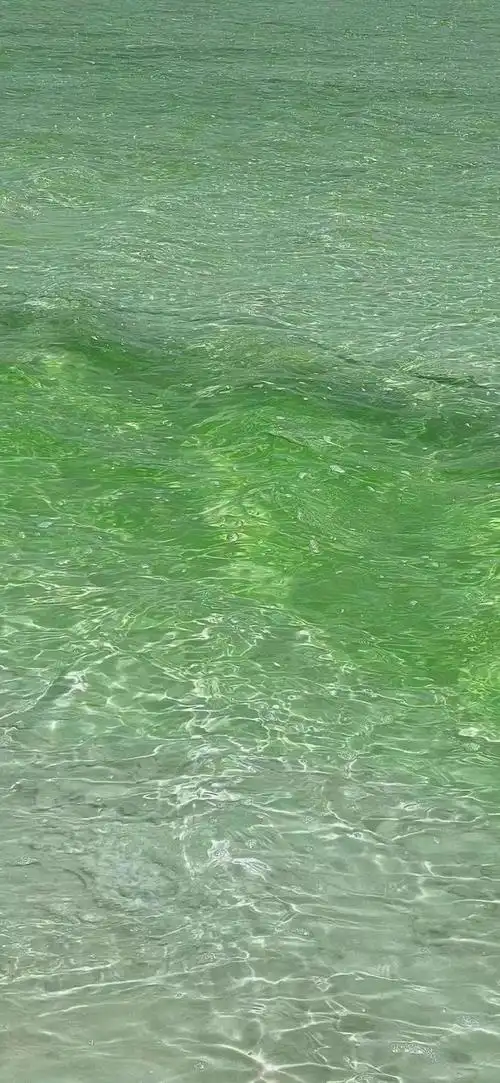 抖音最火手机壁纸丨相爱没有那么容易每个人都有他的手机