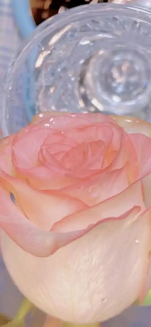 少女心粉色壁纸,少女心粉色壁纸可爱(粉色系少女心壁纸,辣妹也喜欢