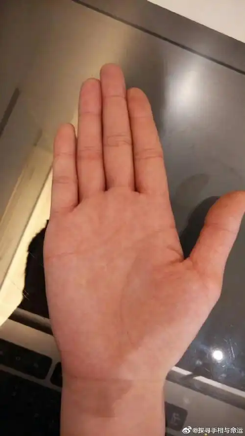 也有着不同的影响,而通过观察这些手指的手相,是可以了解到我们命运