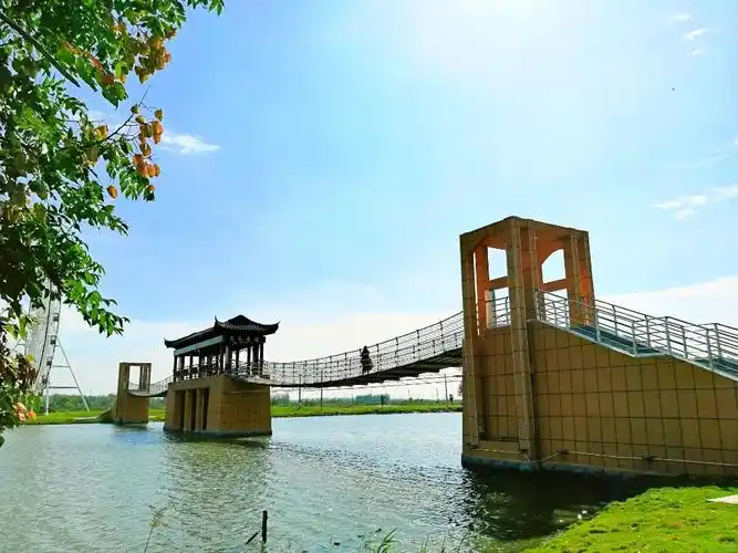 秋色无远近丨阜宁马家荡带你领略金秋之美