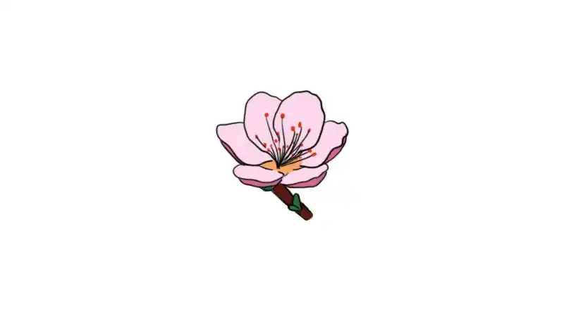 桃花简笔画