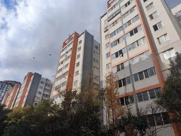 昆明西山马街铁合金怡芳苑小区(二期)金地昆悦旁 怡芳苑二期 电梯小