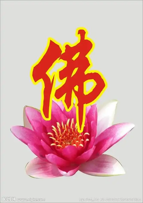 佛字与莲蓬图片