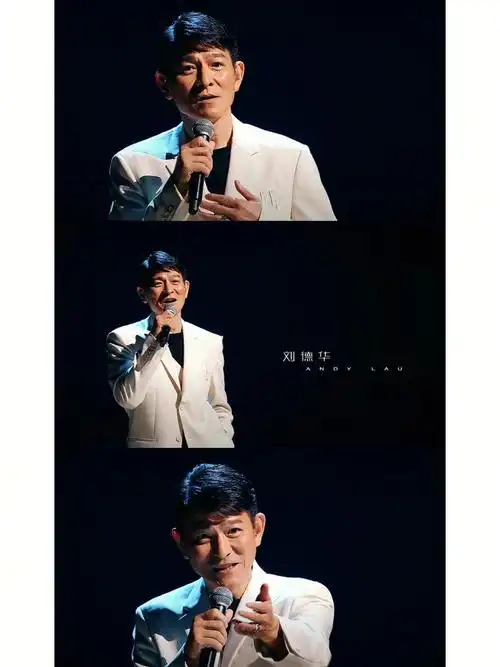 刘德华演唱会西装成都西装定制