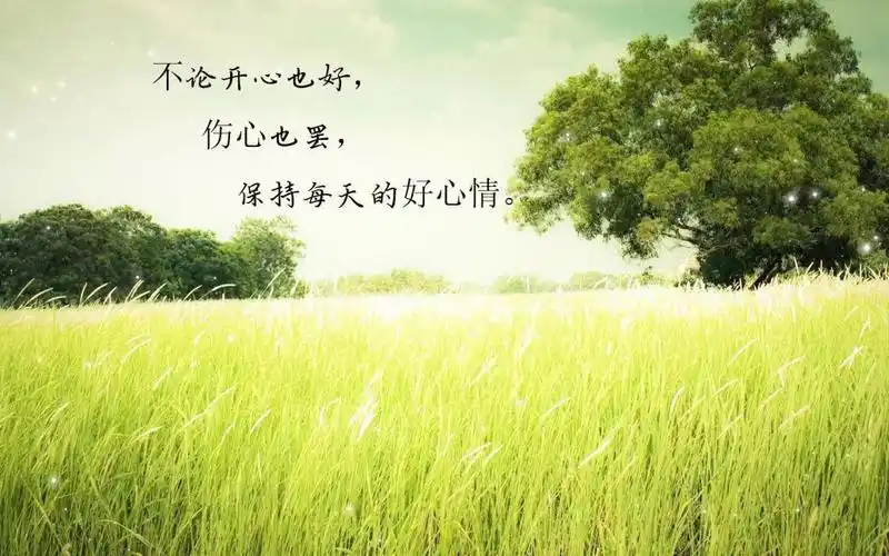 夏天天气凉爽心情好的好说说,高清壁纸图片,非主流-回车桌面