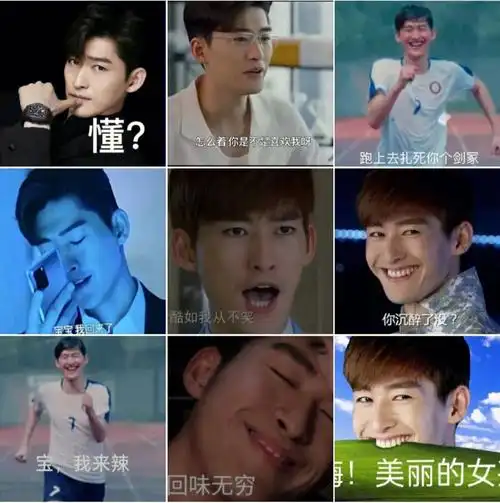 今日张翰表情包