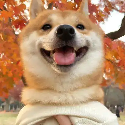 超萌的狗狗头像