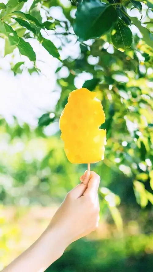 小清新夏天绿色风景图片手机壁纸