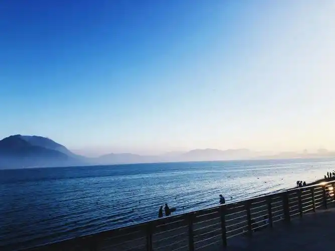 冬日里的海清冷而安静