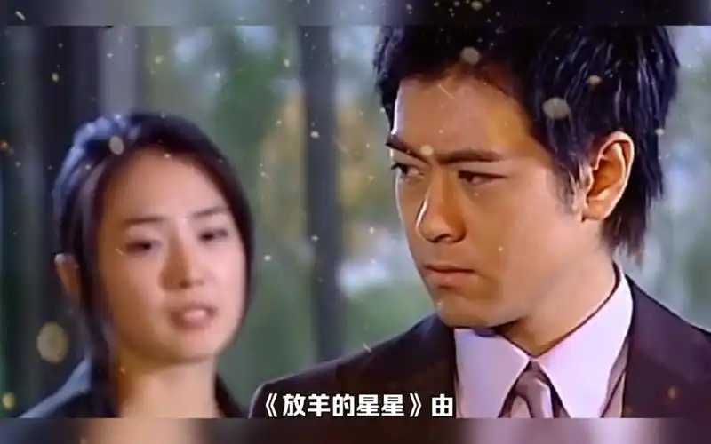 林志颖演的《放羊的星星》