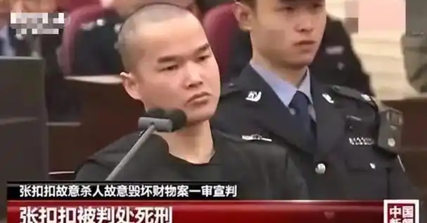 回顾:张扣扣除夕连杀王家3人,为何放过了王自新妻子?原因很简单