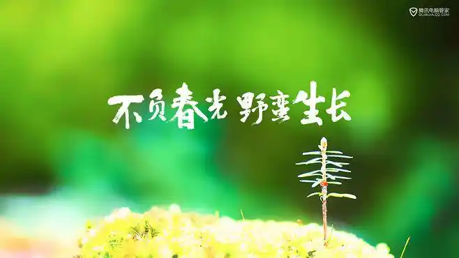 萌芽绿芽发芽生长_不负春光野蛮生长_电脑壁纸_励志壁纸1600×900 ui