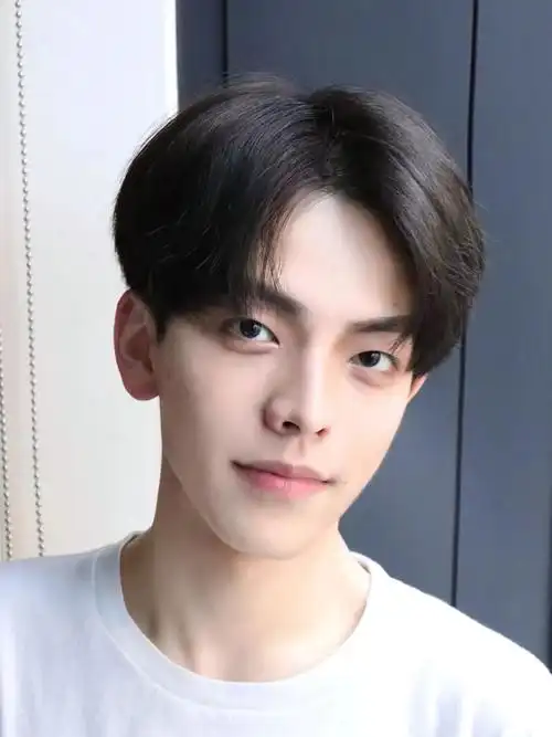 中分刘海_假发男中分刘海短发时尚个性韩式仿真短直发套自然蓬松男士