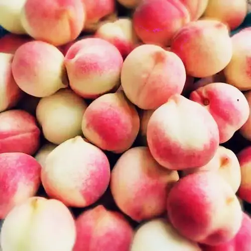 丹东河口秋白新鲜桃子大毛毛桃离核水果银白桃