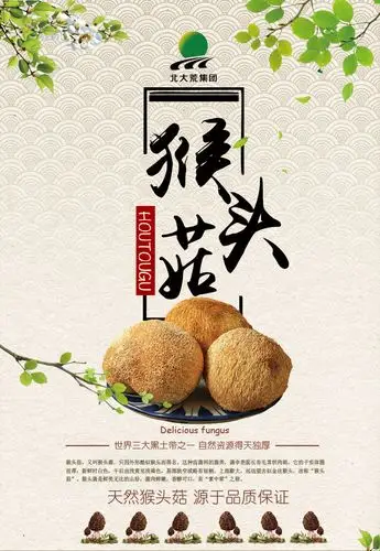 【东北特产】北大荒绿野猴头菇150g*1袋 山珍干货 东北 东北干货特产