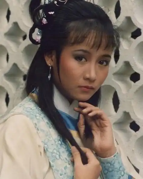 《鹿鼎记》的部分主角都现身,梁朝伟,刘嘉玲和吴君如纷纷出镜,让人