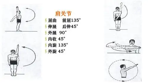 休息与活动(2012级)ppt