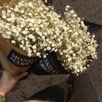 花卉满天星唯美图片头像花儿朵朵千朵万朵